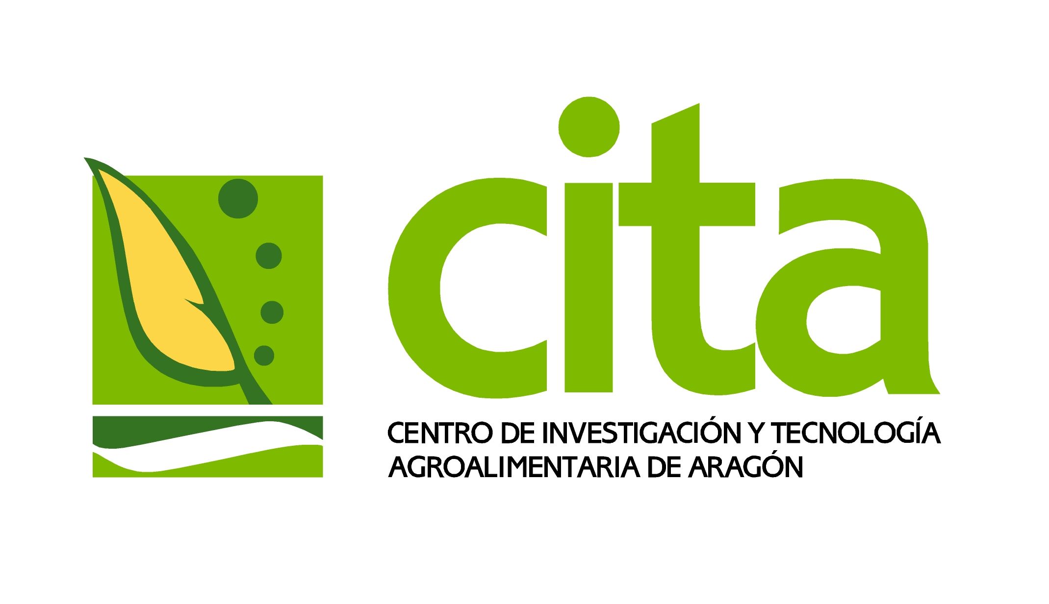 CITA_logo
