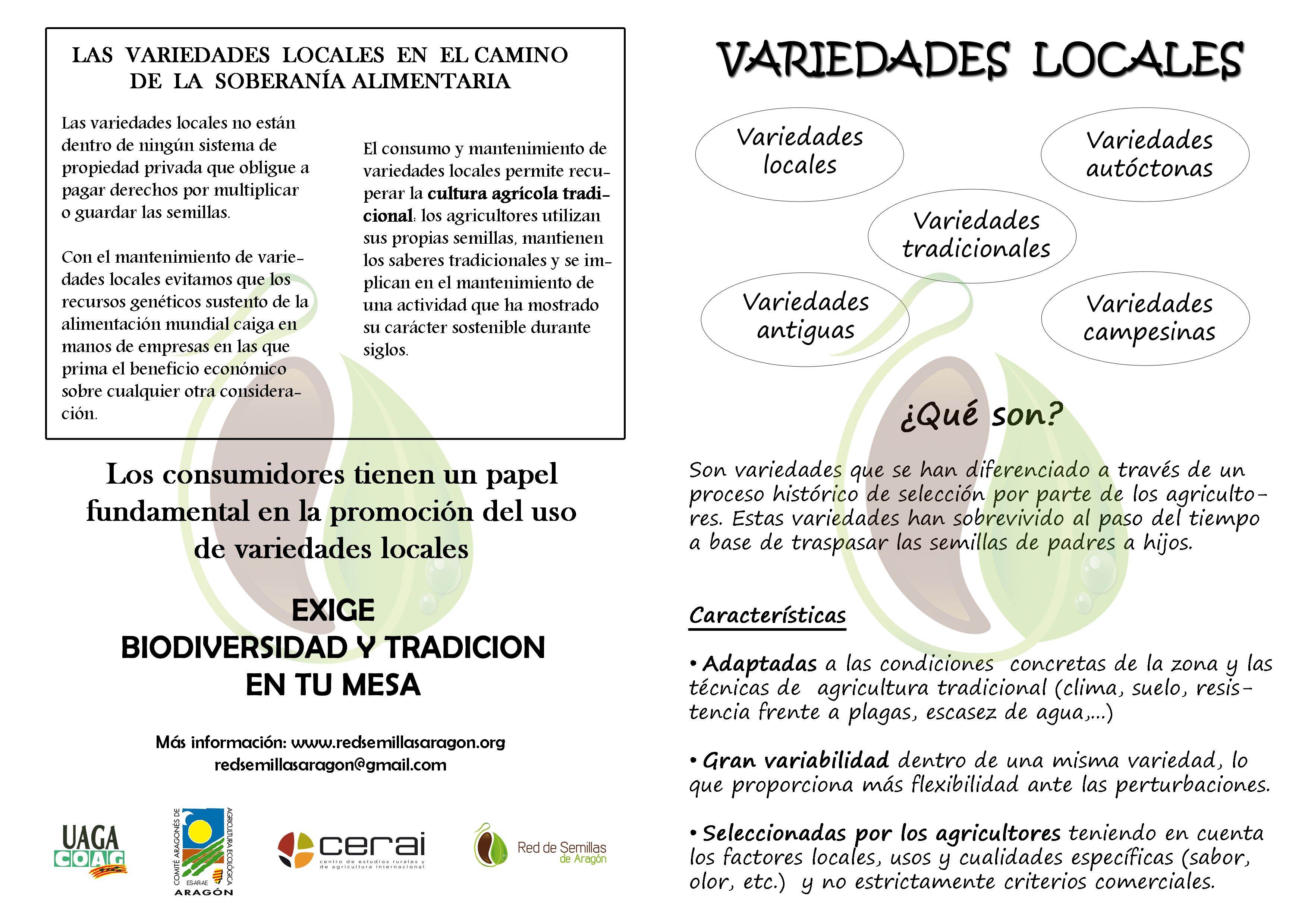 Diptico RdSA_ext copia