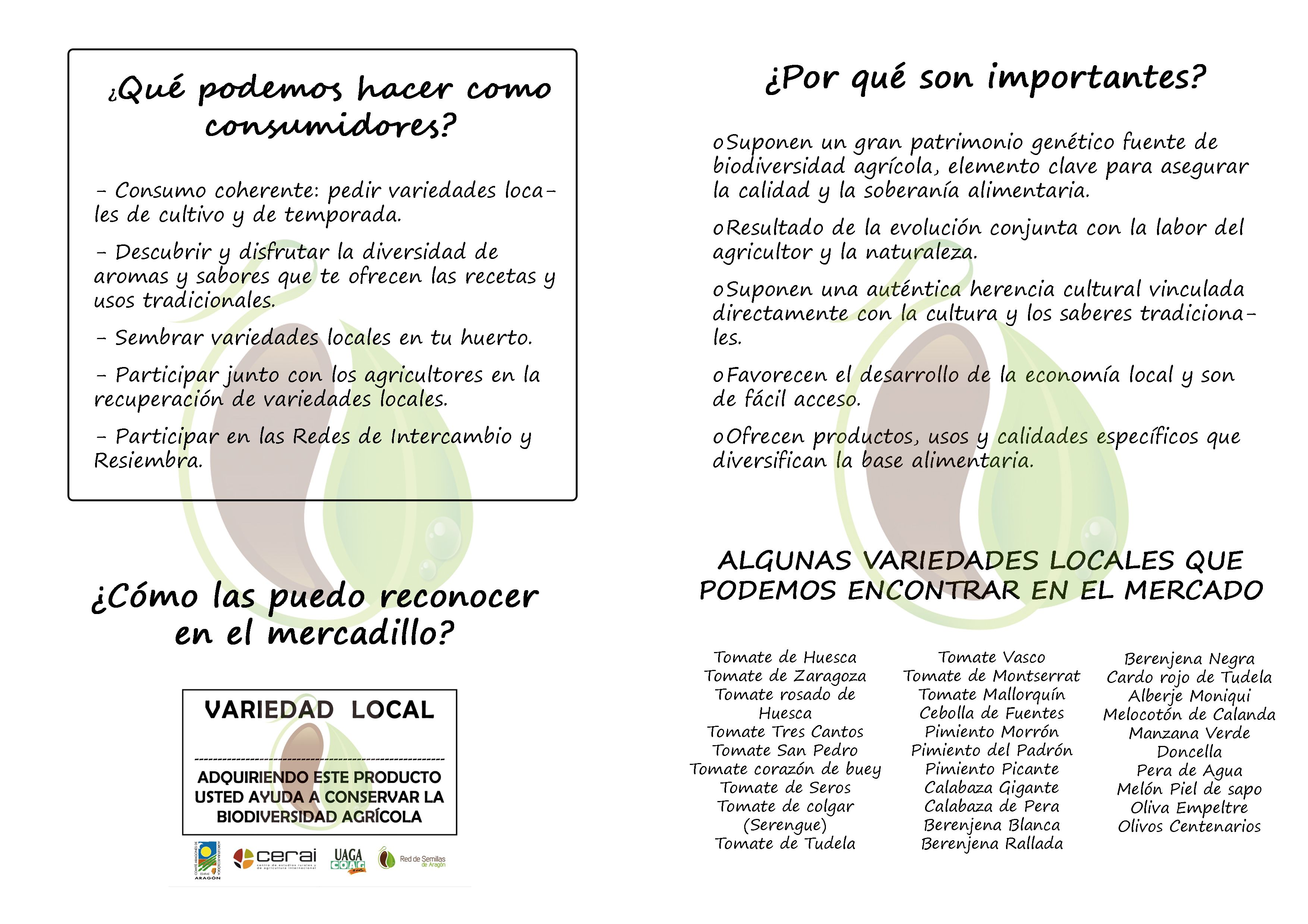 Diptico RdSA_int copia