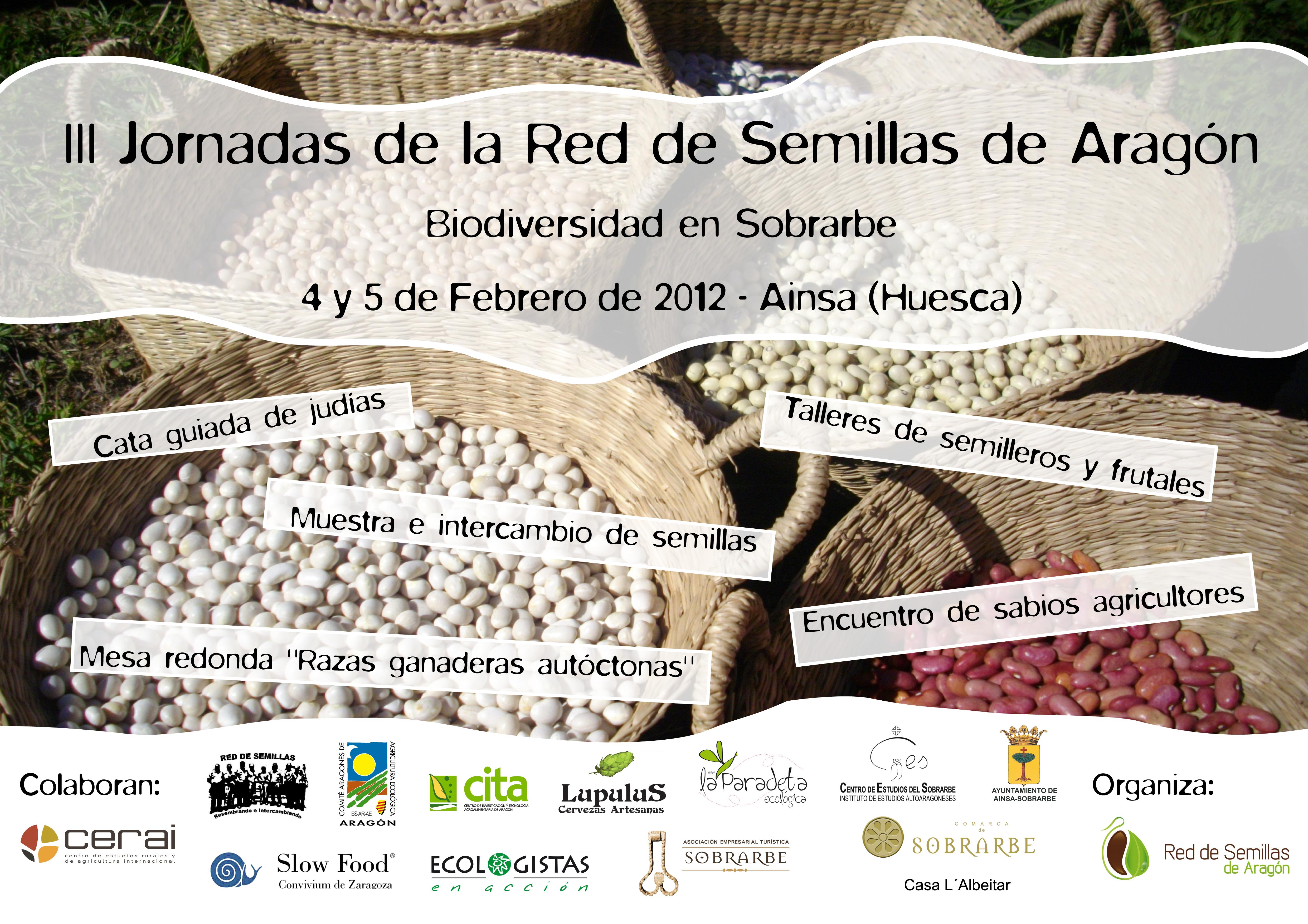 Cartel_Jornadas Ainsa RdSA