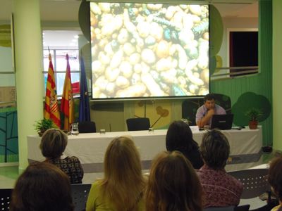 Carlos Gil