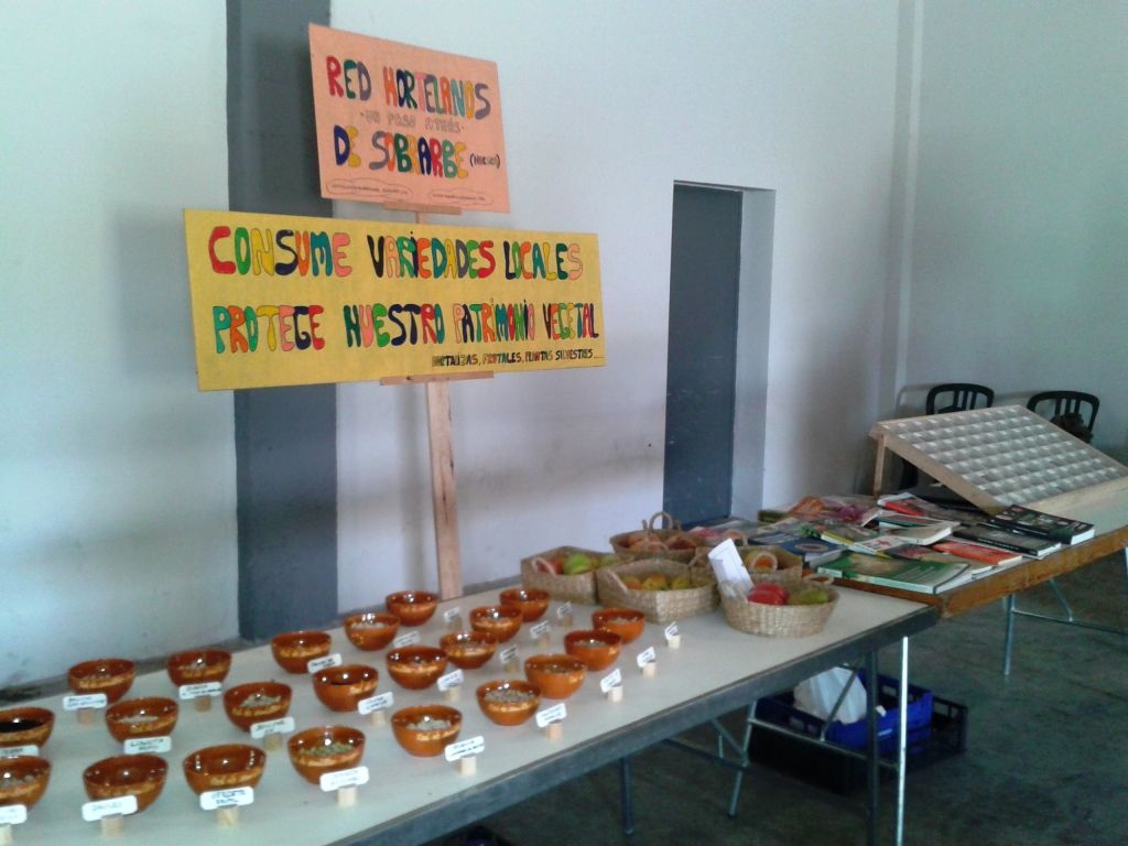Blog13