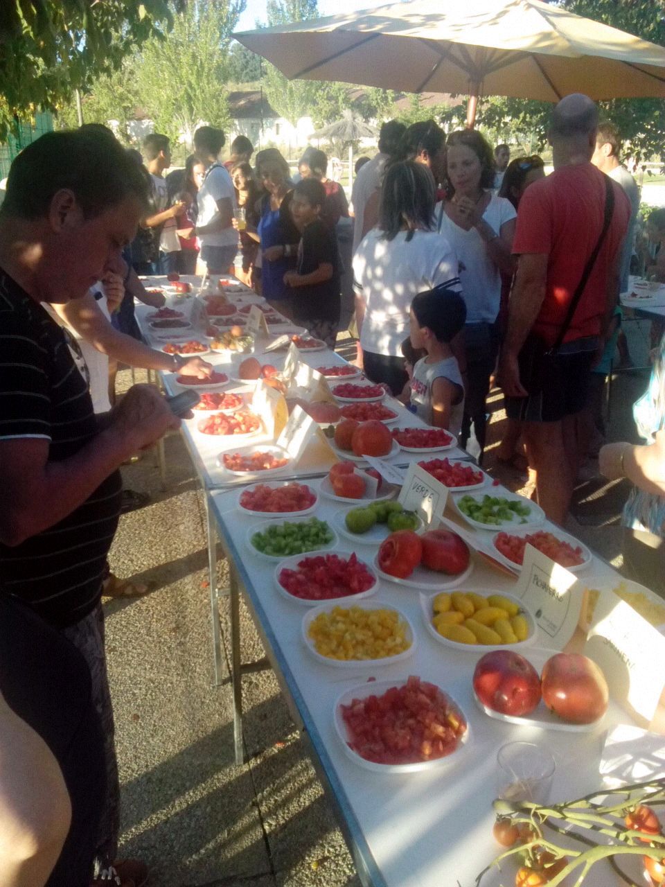 IMG-20140818-WA0010