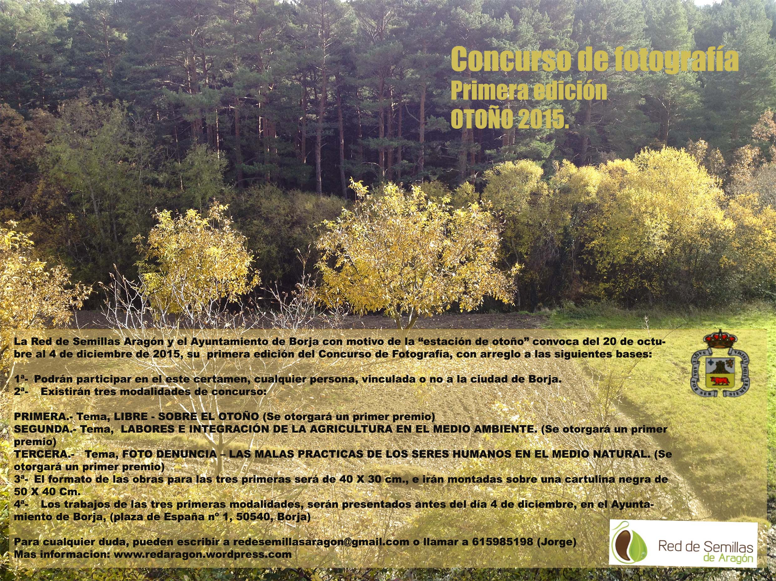 correcciondifinitivounafoto2