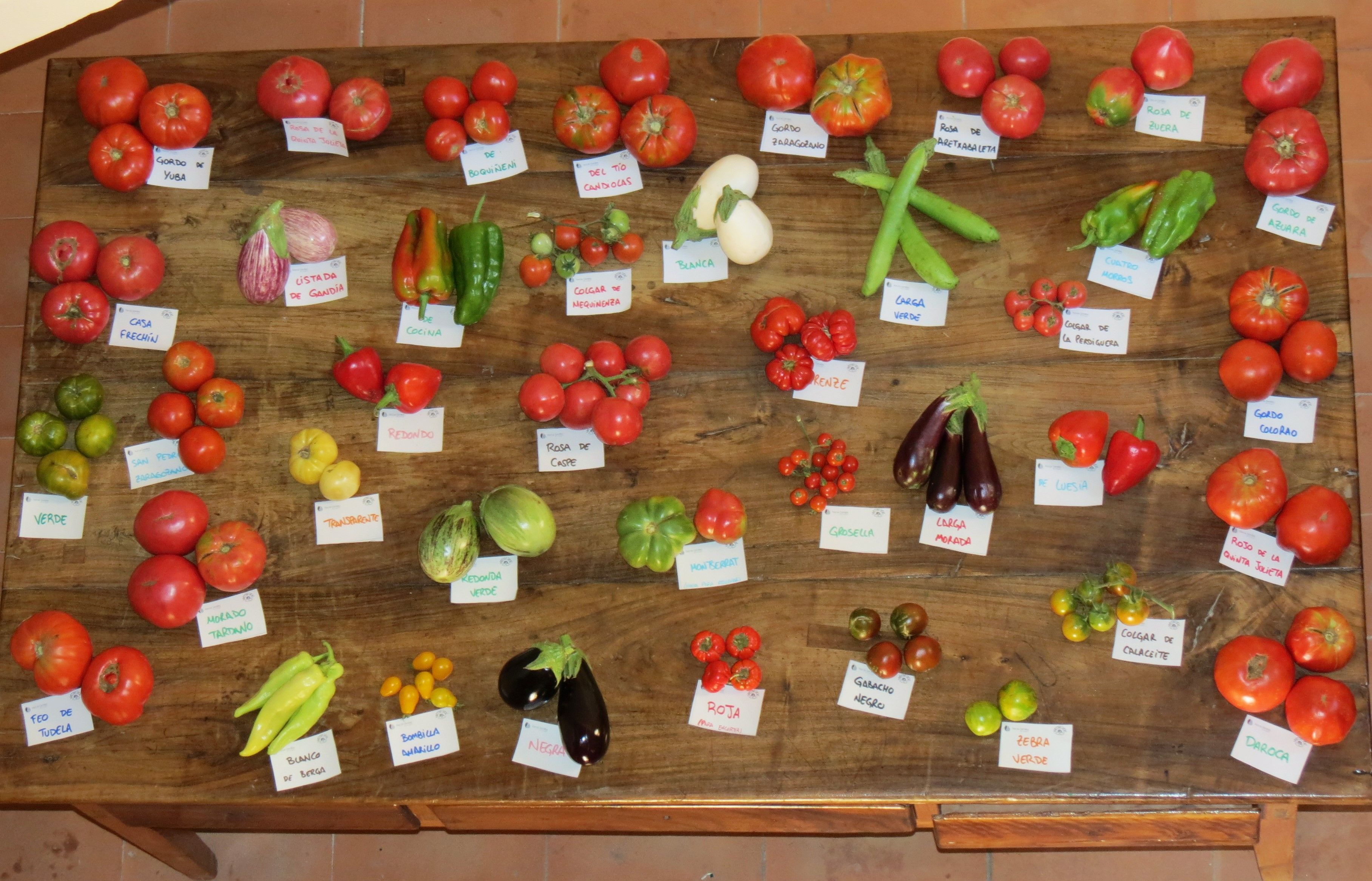 muestra_variedades_locales_ii_feria_aragonesa_biodiversidad_agricola_rsa