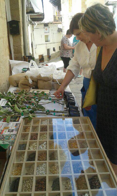 stand_rsa_visita_del_comendador_rsa