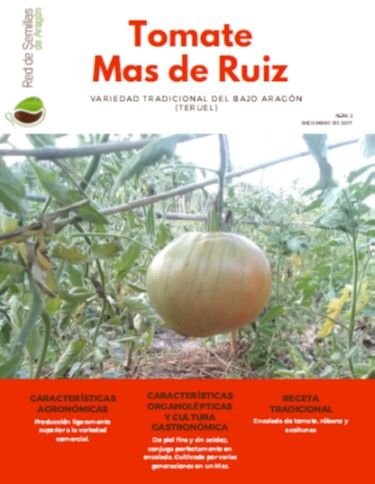 Portada_Nº2_Dic 2017_Tomate Mas de Ruiz_RSA