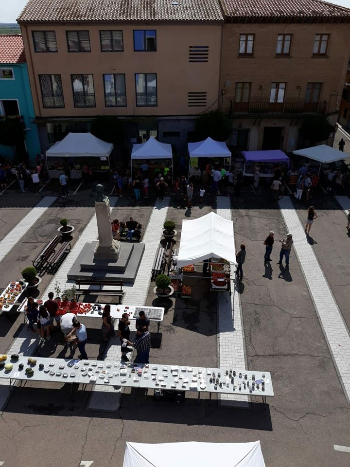 mercado agroecológico