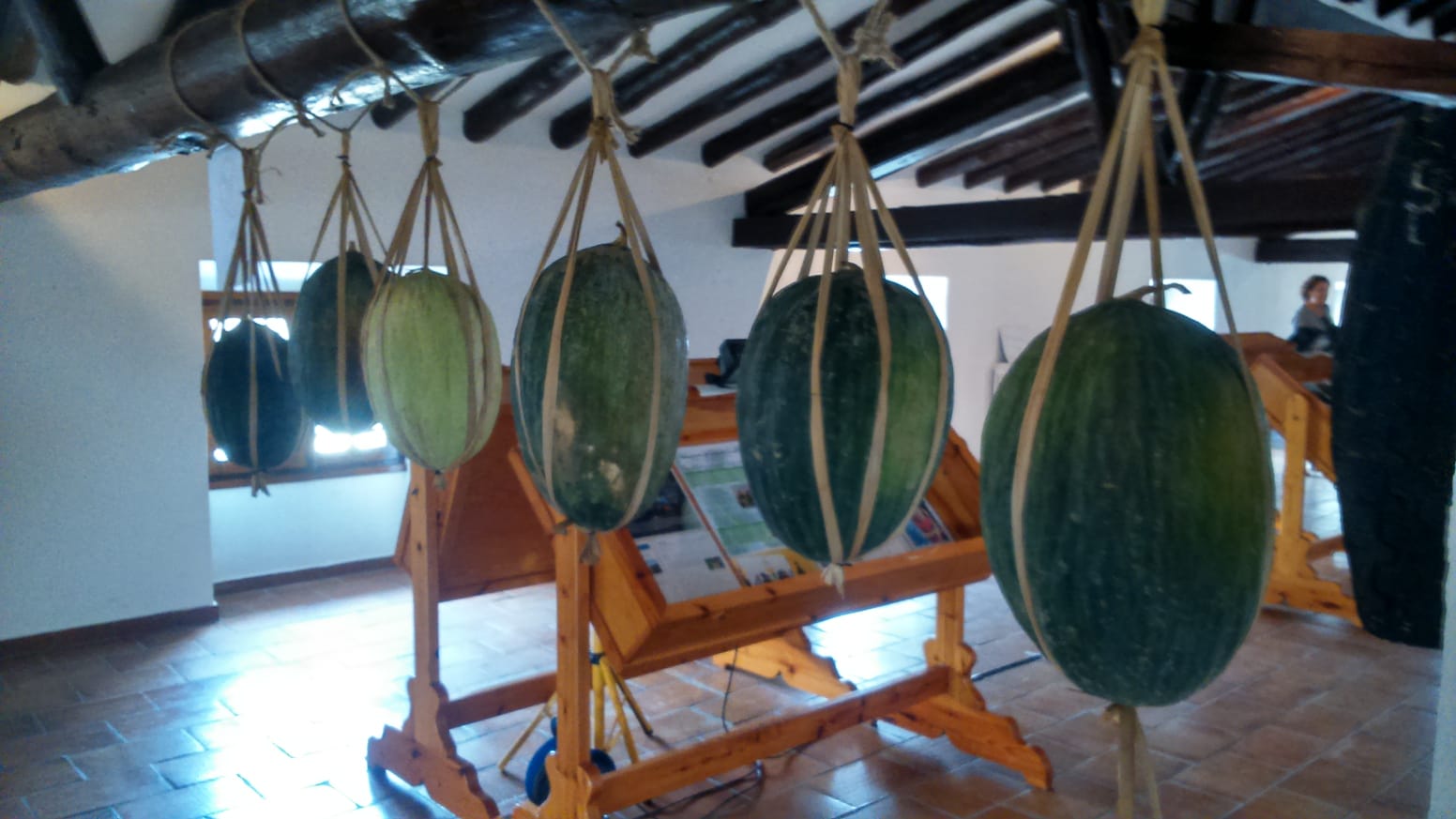 EXPO MELONES