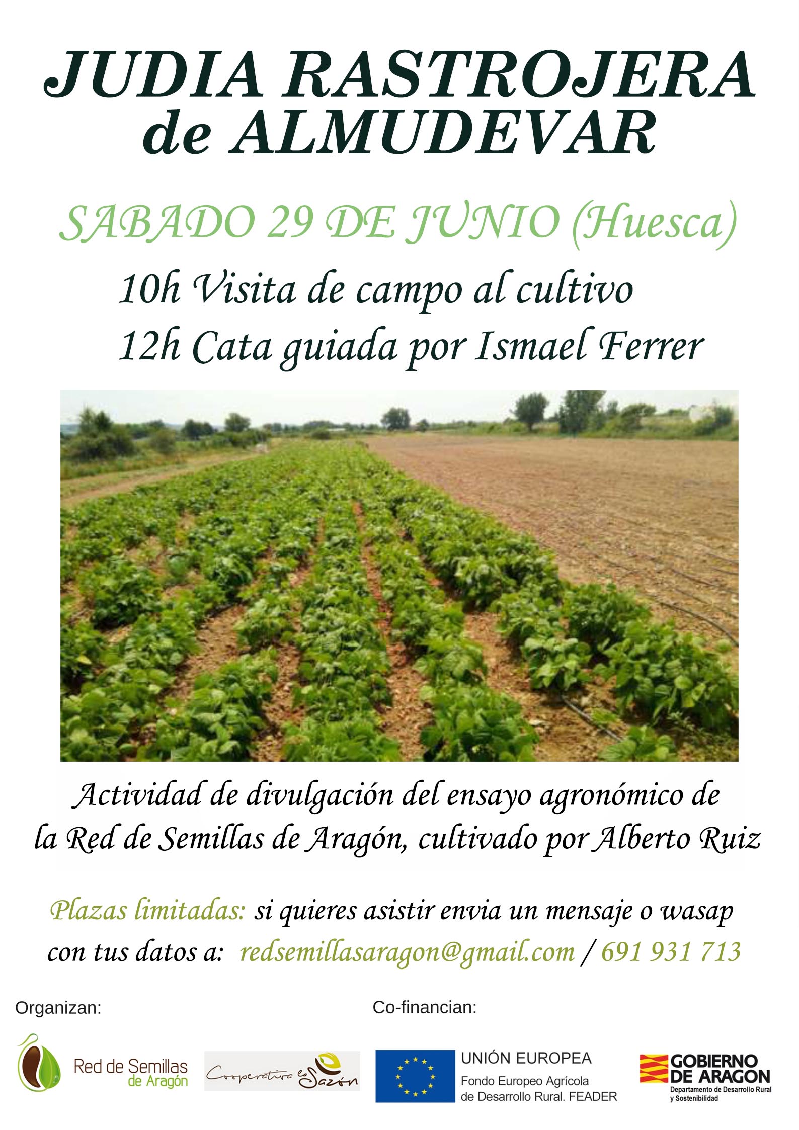 Cartel visita y cata JUDIA mail