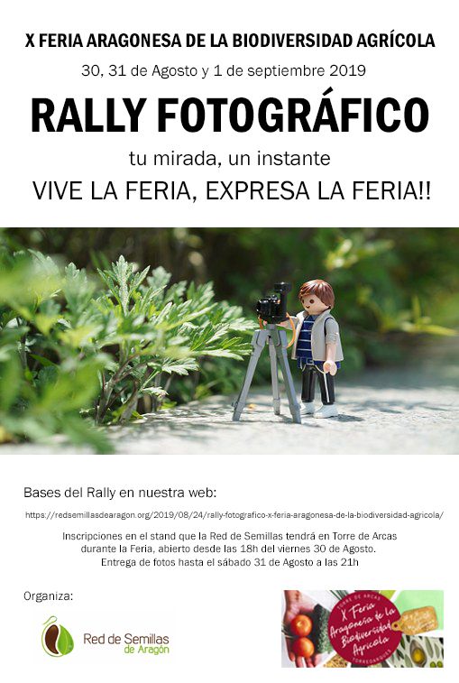 RALLY fotografico
