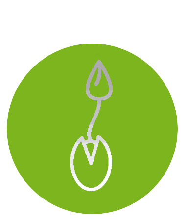 ADAPTABILIDAD Y RESILIENCIA