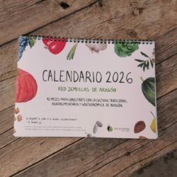 Calendario RSA 2026