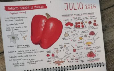 En julio… Pimiento morrón de Morilla