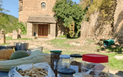 El grupo local del Viello Aragón en eldiario.es