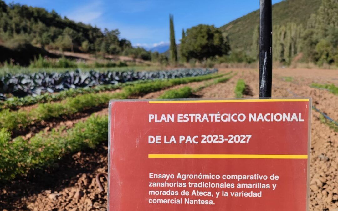 ensayos agronómicos
