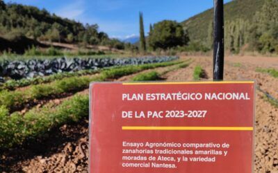 Ensayos agronómicos 2026