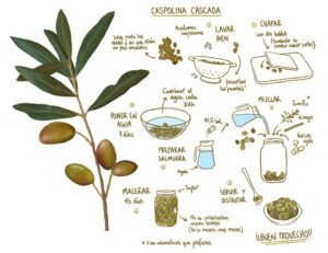 Receta Aceituna caspolina