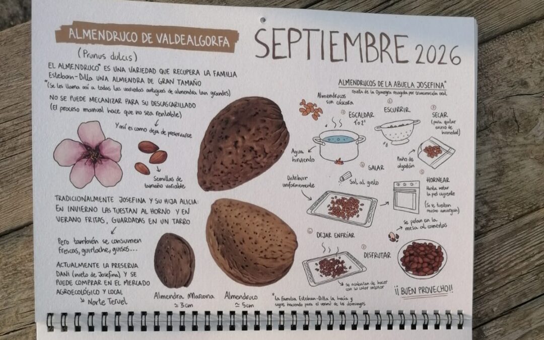 Almendruco de Valdealgorfa