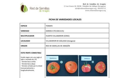 ¿Cultivas variedades tradicionales?