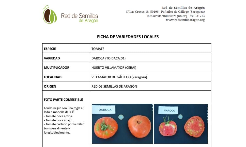 Ficha variedades tradicionales