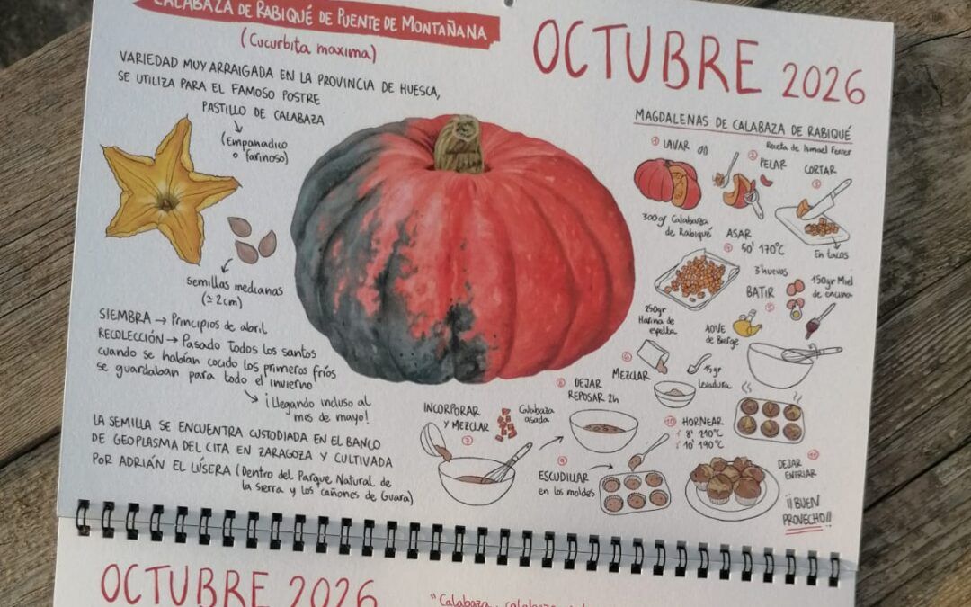 Octubre Calabaza rabiqué