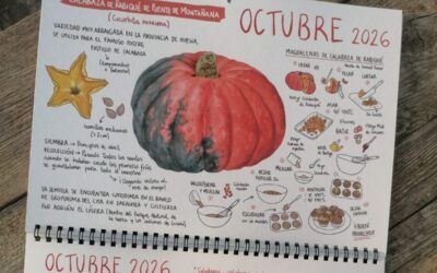 Octubre, mes de la calabaza de rabiqué