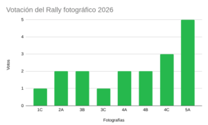 rally fotográfico votación
